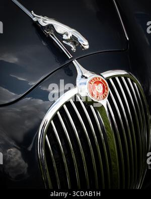 Jaguar Mk2 Stockfoto
