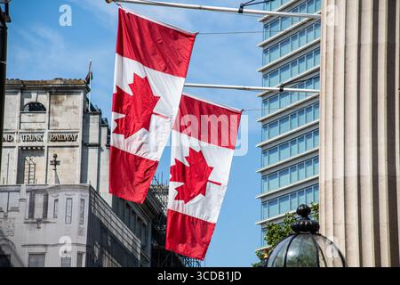 Mehrere kanadische Flaggen auf Fahnenmasten vor dem Canada House in London, Großbritannien, winken vor einem hellen Himmel und symbolisieren Nationalstolz und diplomatische Präsenz Stockfoto