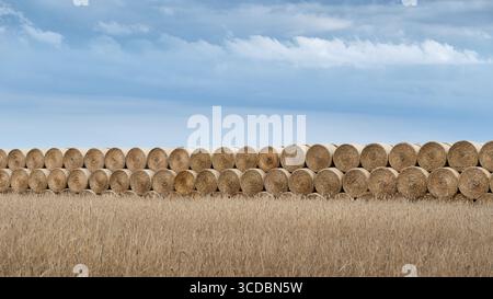 Heuballen stapelten sich in Reihen auf einem goldenen Feld unter einem leuchtend blauen Himmel mit dramatischen Wolken, die die ländliche Landwirtschaft und Erntezeit symbolisieren Stockfoto