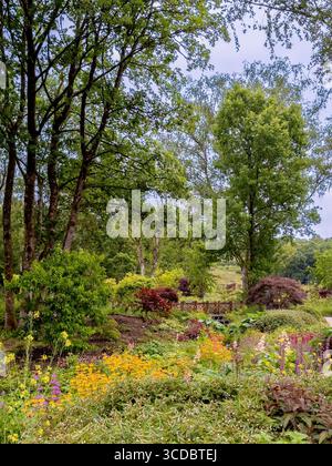 Chinesischer Streamside Garden im RHS Bridgewater mit üppigem Grün und farbenfrohen Frühlingsblumen. UK Stockfoto