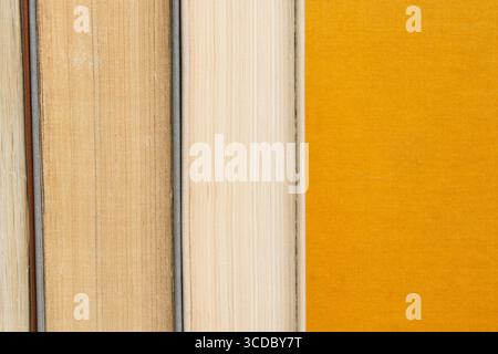 Bücher, die vertikal mit dem Rücken nach innen platziert werden, Seiten in verschiedenen Farbtönen sind sichtbar, stehen auf orangefarbenem Stoff, Bücher und Bildung Stockfoto