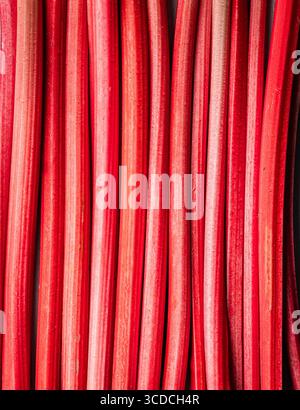 Frische rote Rhabarber-Stiele, die in vertikaler Ausrichtung eng aneinander angeordnet sind. Stockfoto