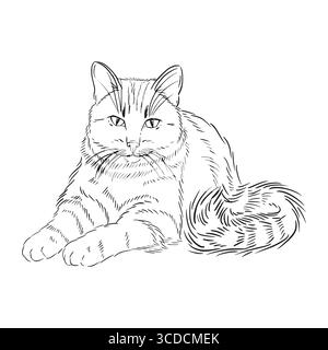 Eine gestreifte flauschige Katze, handgezeichnet mit Tinte. Vektor-Illustration zum Drucken in Malbüchern, auf Lebensmittelverpackungen, Tierkliniken Stock Vektor