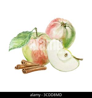 Äpfel und Zimt, Aquarelle. Saftige Früchte, ganz in Scheiben, aromatische Gewürzstäbchen. Handgezeichnete Vektor-ClipArt für Lebensmittel- und Kosmetiketiketiketten, für Stock Vektor