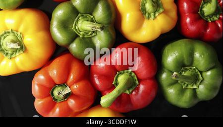 Von oben Blick auf bunte Reife Paprika aufgestellt, gemeinsam auf schwarzem Hintergrund Stockfoto