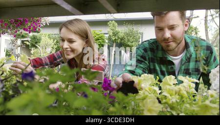 Lächelnder junger Mann und Gärtner kümmern sich an sonnigen Tagen gemeinsam um Blumen und Pflanzen Stockfoto