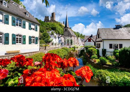 Monreal mit Blick auf Löwenburg, Kirche und Fachwerkhäuser unter blauem Himmel und hellroten Geranien im Vordergrund Stockfoto