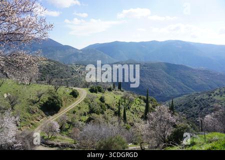 Arachova Dorf, Parnasos, Griechenland Stockfoto