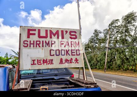 Oahu, Hawaii, USA, Pazifikinseln, North Shore, Garnelenfarm, Garnelenteiche, Aquakultur, Aquakultur, Landwirtschaft, ländliche Landschaft, FAR Stockfoto