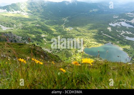 Spektakuläre Aussicht auf Bergseen, umgeben von grünen Tälern mit leuchtend gelben Wildblumen im Vordergrund an sonnigen Tagen. Das Konzept des Alpin Stockfoto