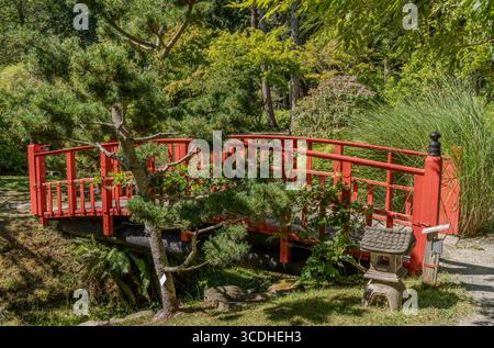 Eine rote Fußbrücke im Japanischen Garten auf Mayne Island, British Columbia, Kanada. Stockfoto