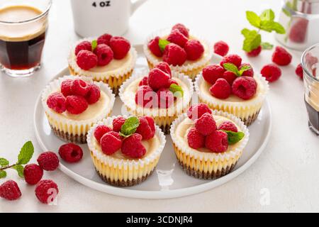 Klassischer New Yorker Käsekuchen in einzelnen Tassen mit frischer Himbeere und Kaffee Stockfoto