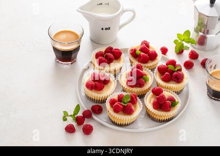 Klassischer New Yorker Käsekuchen in einzelnen Tassen mit frischer Himbeere und Kaffee Stockfoto