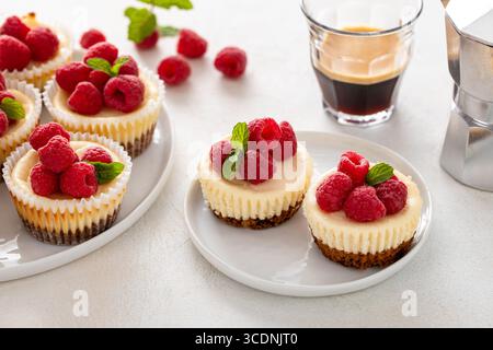 Klassischer New Yorker Käsekuchen in einzelnen Tassen mit frischer Himbeere und Kaffee Stockfoto
