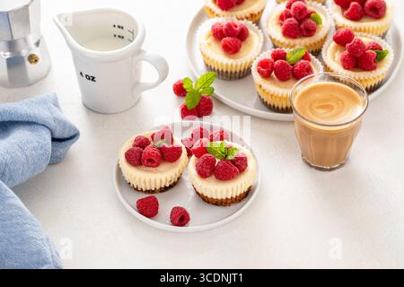 Klassischer New Yorker Käsekuchen in einzelnen Tassen mit frischer Himbeere und Kaffee Stockfoto