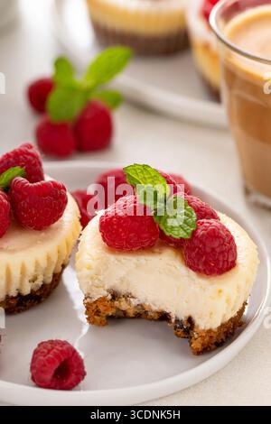 Klassischer New Yorker Käsekuchen in einzelnen Tassen mit frischer Himbeere, serviert mit Kaffee und einem Happen Stockfoto