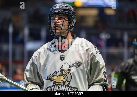 2. Dezember 2023: Calgary Roughnecks Stürmer Thomas Hoggarth (91) trifft im zweiten Quartal gegen die Rochester Knighthawks. Die Rochester Knighthawks waren Gastgeber der Calgary Roughnecks in einem Spiel der National Lacrosse League in der Blue Cross Arena in Rochester, New York. (Jonathan Tenca/CSM) (Bild: © Jonathan Tenca/CSM via ZUMA Press Wire) Stockfoto