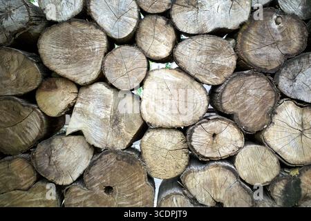 Ein großer Stapel ordentlich geschnittener Baumstämme, die natürlichen Muster der Holzmaserung. Stockfoto