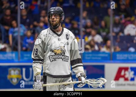 2. Dezember 2023: Calgary Roughnecks Stürmer Jesse King (19) steht im zweiten Quartal gegen die Rochester Knighthawks an. Die Rochester Knighthawks waren Gastgeber der Calgary Roughnecks in einem Spiel der National Lacrosse League in der Blue Cross Arena in Rochester, New York. (Jonathan Tenca/CSM) (Bild: © Jonathan Tenca/CSM via ZUMA Press Wire) Stockfoto