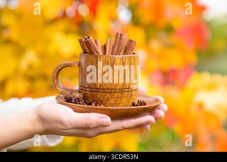 Eine der Fotoserien : heiße Gewürzgetränke mit Zimt und Herbstlaub Stockfoto