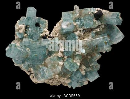 Berylsorte Aquamarin mit schwarzem Turmalin (Schorl) aus den Erongo Mountains, Erongo Region, Namibia. Stockfoto