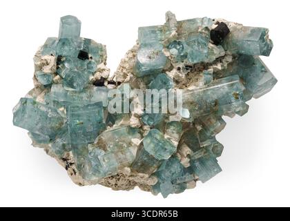 Berylsorte Aquamarin mit schwarzem Turmalin (Schorl) aus den Erongo Mountains, Erongo Region, Namibia. Stockfoto