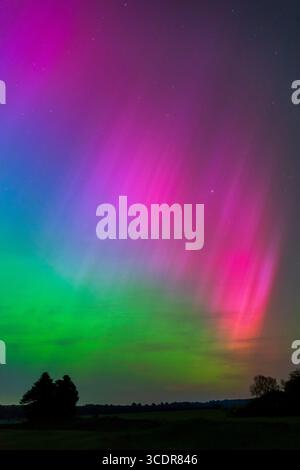 Seltene mehrfarbige aurora Borealis am Sternenhimmel in Dorset Stockfoto