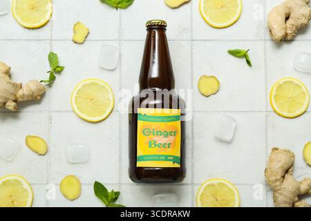 Komposition mit einer Flasche frischen Ingwerbiers, Minze, Zitronenscheiben und Eiswürfeln auf hellem Fliesenhintergrund Stockfoto