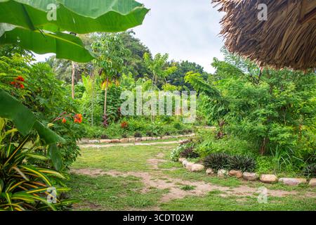 Ein landschaftlich reizvoller Gartenweg umgeben von lebhaften tropischen Pflanzen und Bäumen in Palomino, La Guajira, Kolumbien. Stockfoto