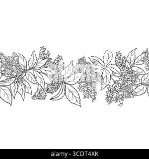 Holunderblüten Kontur Horizontales Nahtloses Muster. Stock Vektor