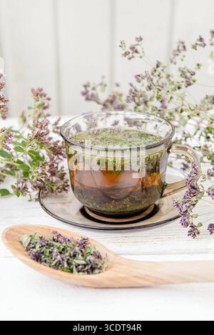 Hausgemachter Oregano, Origanum vulgare Kräutertee in einer Teetasse. Dampfendes Heißgetränk mit trockenen und frischen Oregano-Blüten rund um die Uhr, weißes Holzbrett. Stockfoto