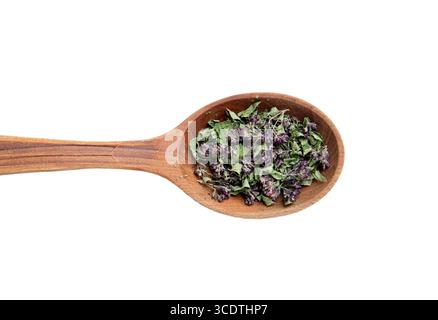 Flache Ansicht von trockenem Oregano, Origanum vulgare für die Herstellung von medizinischem Kräutertee. Hausgemachte getrocknete Blätter und Blüten auf einem Holzlöffel, isoliert. Stockfoto