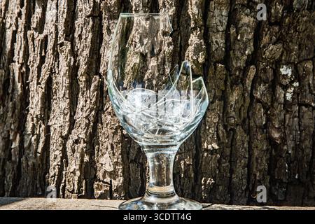 Zerbrochenes, zerbrochenes Weinglas auf Holzdielen mit Baumrinde Hintergrund Stockfoto