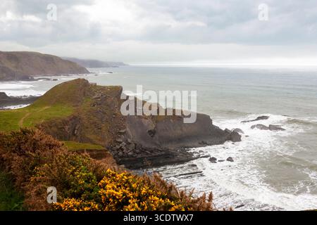 Die Nordküste von Devon auf der Hartland-Halbinsel mit Blick südlich von Screda Cove, an einem nebeligen Tag: Devon, England, Großbritannien Stockfoto