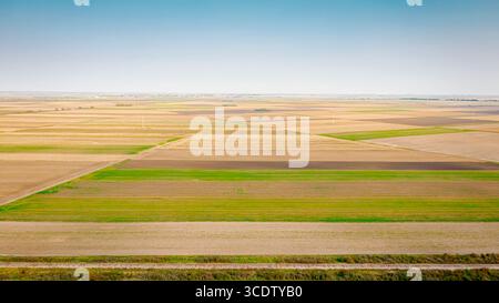 Über dem Blick über landwirtschaftliche farbenfrohe Parzellen, reifer Mais auf Bauernfeldern, Maisfeld. Anbauflächen in der Erntesaison Stockfoto