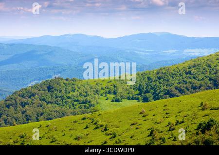 Berglandschaft mit sanften Hügeln. Reise karpaten im Sommer. Landschaft mit grünem Gras auf der Piste an einem sonnigen Tag unter blauem Himmel Stockfoto