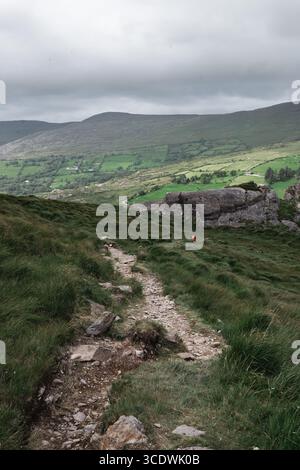 Ein wunderschöner und landschaftlich reizvoller Bergweg, der sich durch üppige, lebhafte grüne Landschaften schlängelt Stockfoto