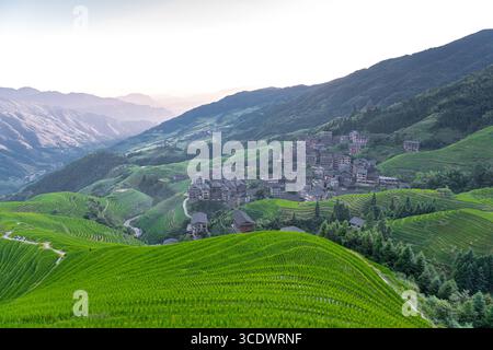 Longji-Reisterrassen auf dem Yaoshan-Berg in Guangxi, China, Sonnenaufgangslicht Stockfoto