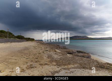 Über dem Strand La Pelosa auf Sardinien erheben sich Sturmwolken, die mit Algen bedeckt sind, türkisfarbenes Wasser und ferne felsige Hügel. Stockfoto