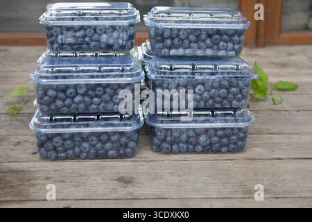 Blick von oben auf frische, reife Heidelbeeren, die in transparenten Plastikbehältern auf einem rustikalen Holztisch untergebracht sind. Bio gesunde Beeren zum Verkauf Stockfoto