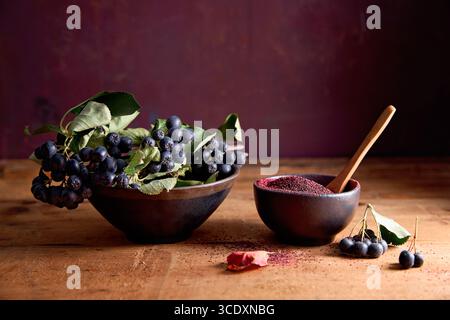 Aronia Pulver in einer Schüssel Stockfoto