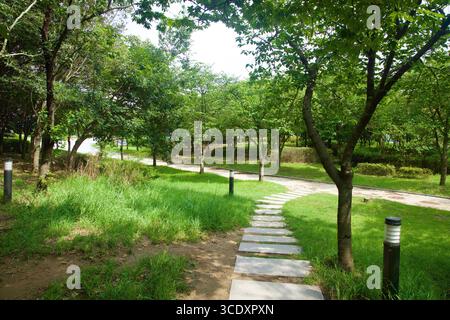 Ein Treppensteinpfad führt durch einen schattigen Hain im Park nahe dem Gangjeong Goryeong Weir in Daegu, der von Rasen und kleinen Lichtern entlang eines wi begrenzt wird Stockfoto