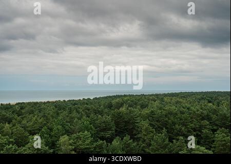 Aus der Luft oder aus der Höhe des Leuchtturms von Ovisi mit einem riesigen, grünen Kiefernwald, der sich bis zum Rand der Ostsee erstreckt. Stockfoto