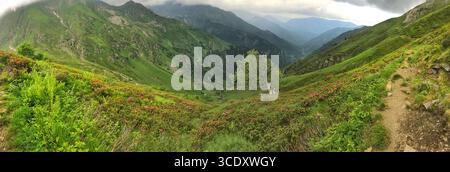 Weite Panoramalandschaft mit grünen Hügeln, blühenden Blumen und fernen Bergpfaden unter bewölktem Himmel, die eine ruhige und malerische Landschaft bieten Stockfoto