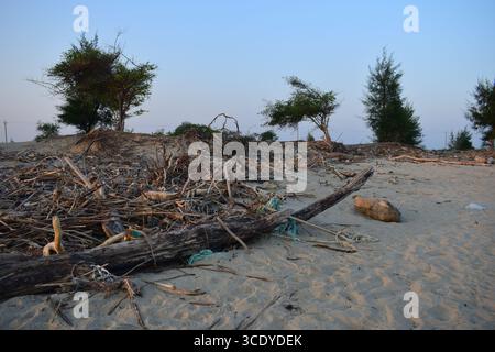 Entwaldung auf Sonadia Island im Coxs Bazar, Bangladesch Stockfoto