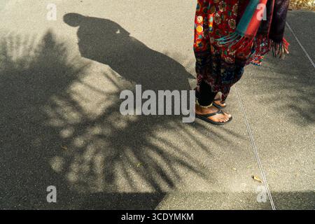 UK Weather, 14 August 2025: Als die Temperaturen im Zentrum Londons wieder 27 Grad erreichten, werfen Menschen, die in den Gärten des St Thomas's Hospital spazieren, ihre eigenen Schatten zwischen den Schatten der Palmen, die dort wachsen. Quelle: Anna Watson/Alamy Live News Stockfoto