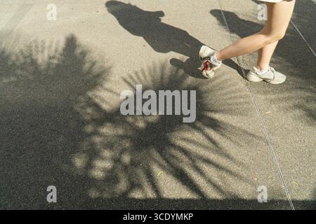 UK Weather, 14 August 2025: Als die Temperaturen im Zentrum Londons wieder 27 Grad erreichten, werfen Menschen, die in den Gärten des St Thomas's Hospital spazieren, ihre eigenen Schatten zwischen den Schatten der Palmen, die dort wachsen. Quelle: Anna Watson/Alamy Live News Stockfoto