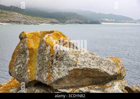 Rock mit Xanthoria Flechten, Praia Castro de Barona, A Coruna, La Coruna, Spanien Stockfoto