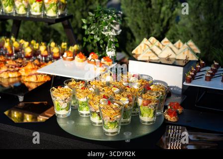 Ein exquisites Arrangement von Vorspeisen und Hors d'oeuvres, das bei einer Veranstaltung im Freien präsentiert wird, mit einer Vielzahl von Gourmet-Gerichten, die wunderschön auf d Stockfoto