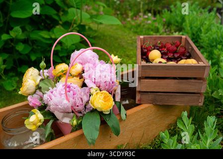 Eine bezaubernde Sommergartenszene mit einem Korb mit rosa Pfingstrosen und gelben Rosen sowie einer Holzkiste mit frischen Kirschen und Aprikosen. i Stockfoto
